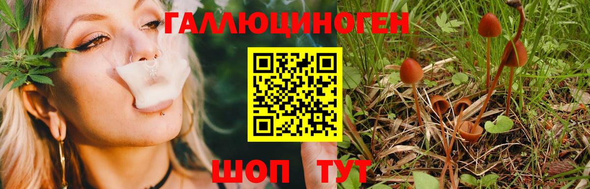 Галлюциногенные грибы мицелий Богородск